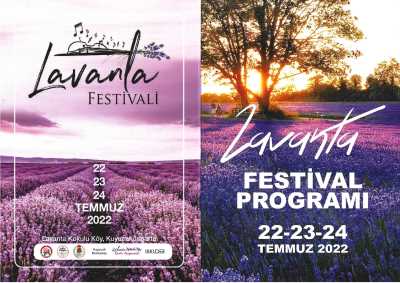 Lavanta Festivali